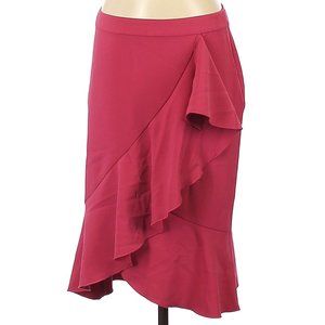 ANN TAYLOR Factory Ruffle Front Knee Length Skirt